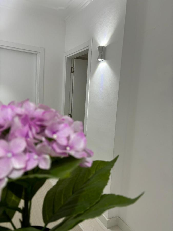 Center, Selvia White Apartment Tirana Exteriör bild